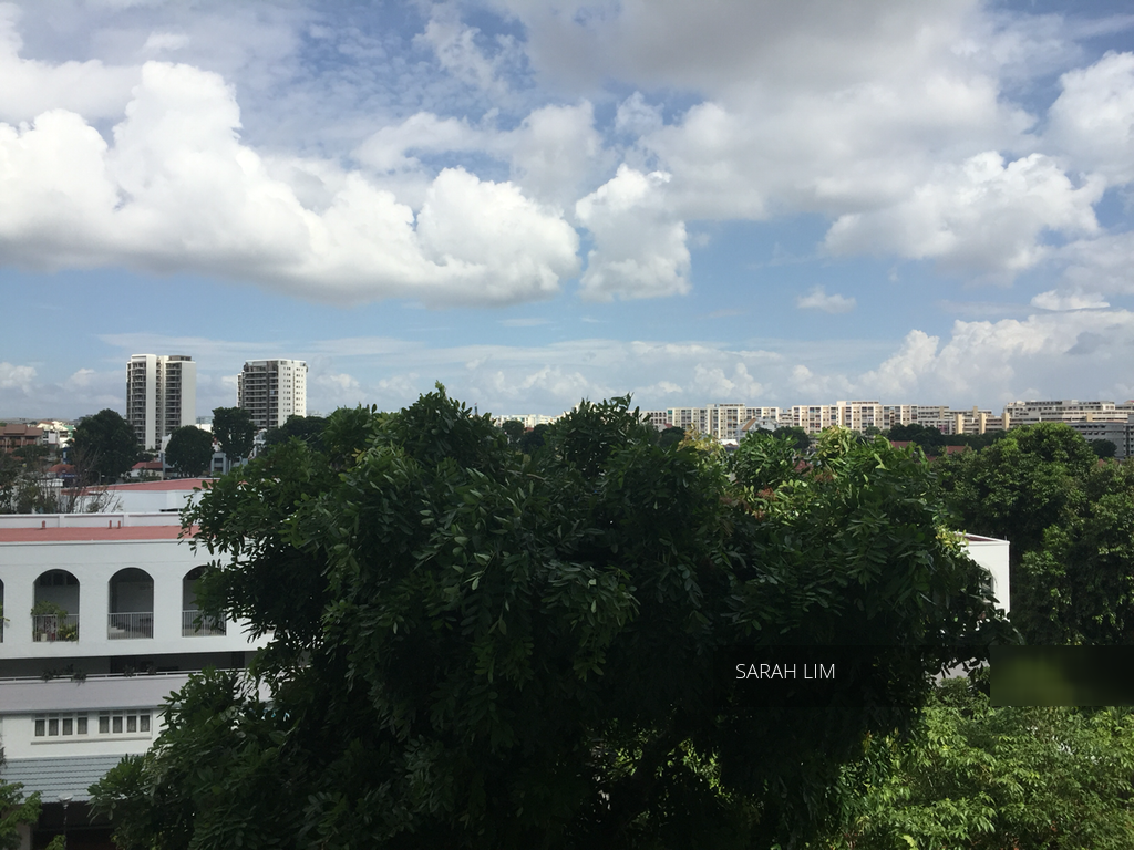 Blk 230 Hougang Avenue 1 (Hougang), HDB Executive #107064352